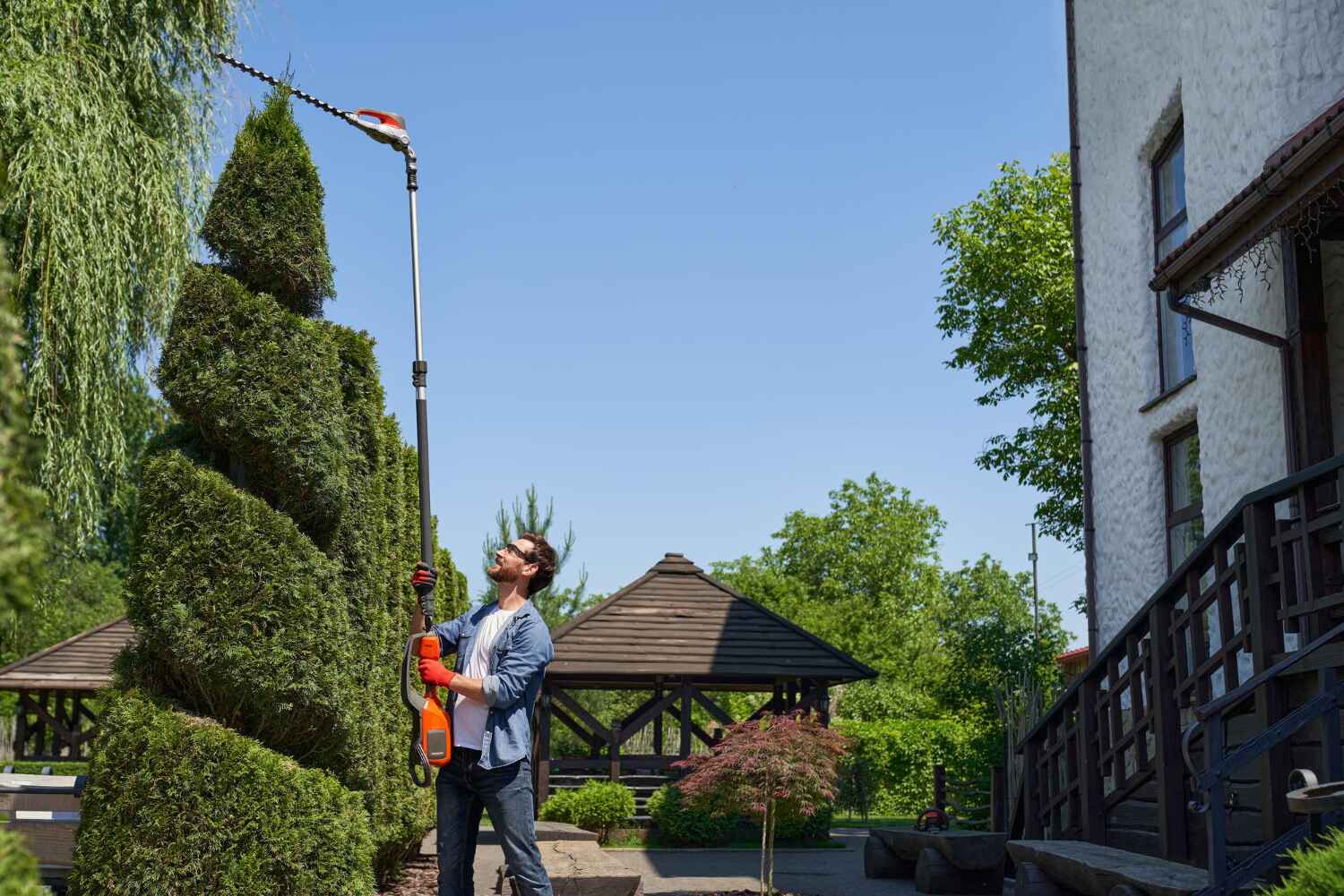 The Steps Involved in Our Tree Care Process in Washington Park, FL